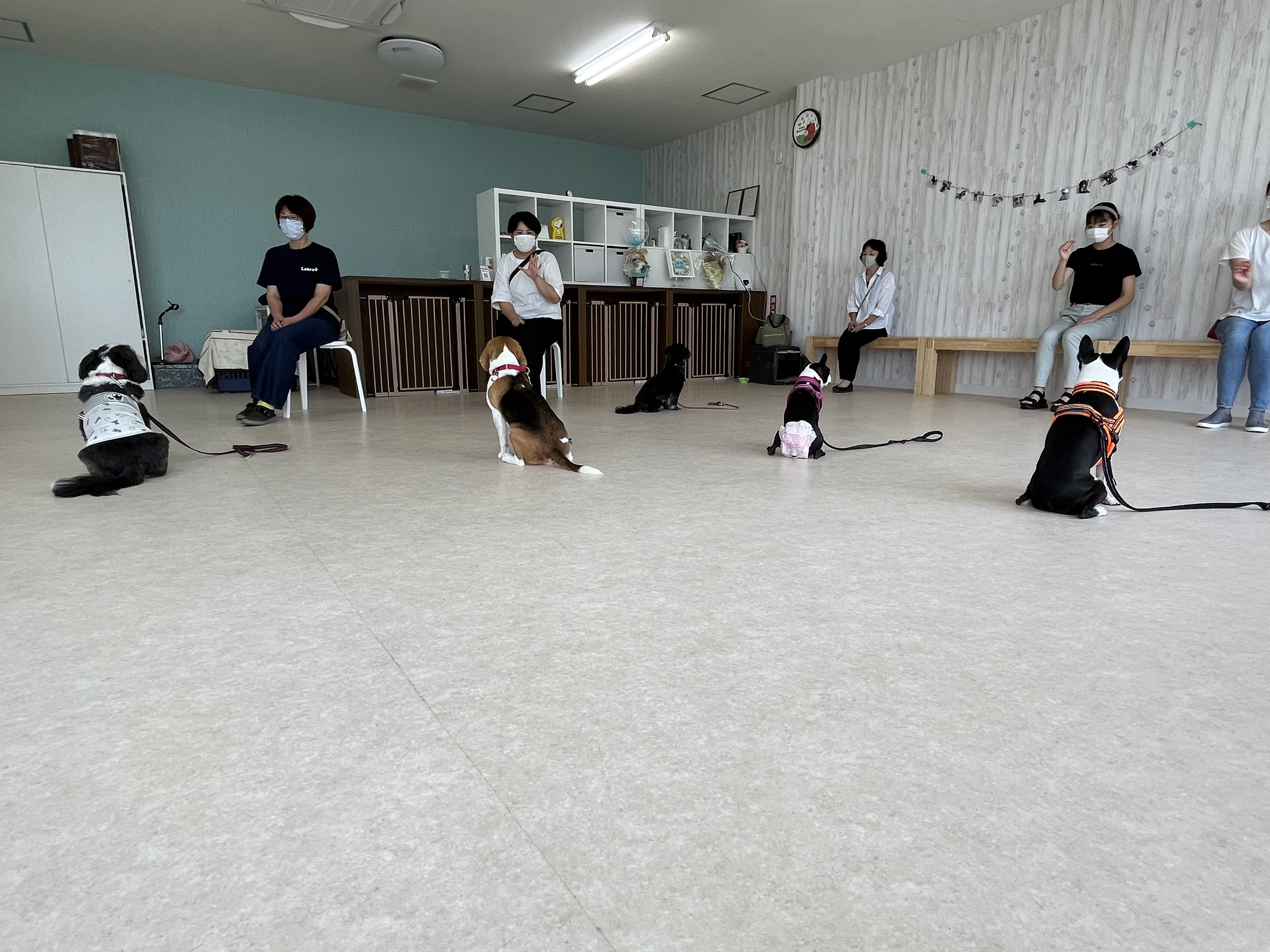 ダウンロード (10)